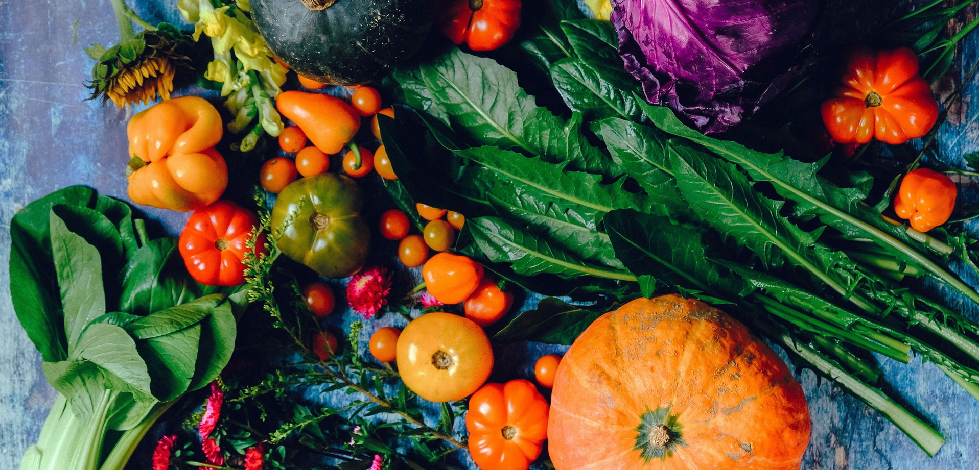 A Consumer asks : Can Organic Farming Deliver for New Zealand?